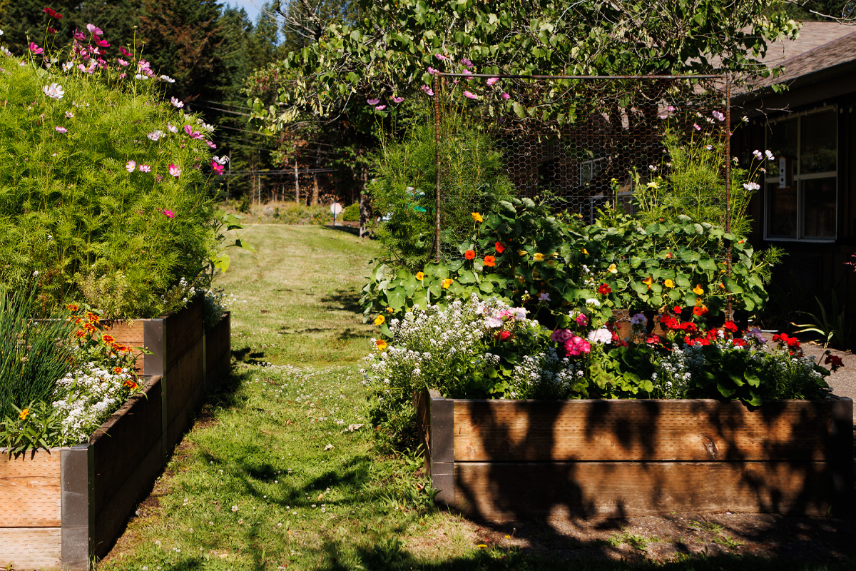 Rock Cove garden